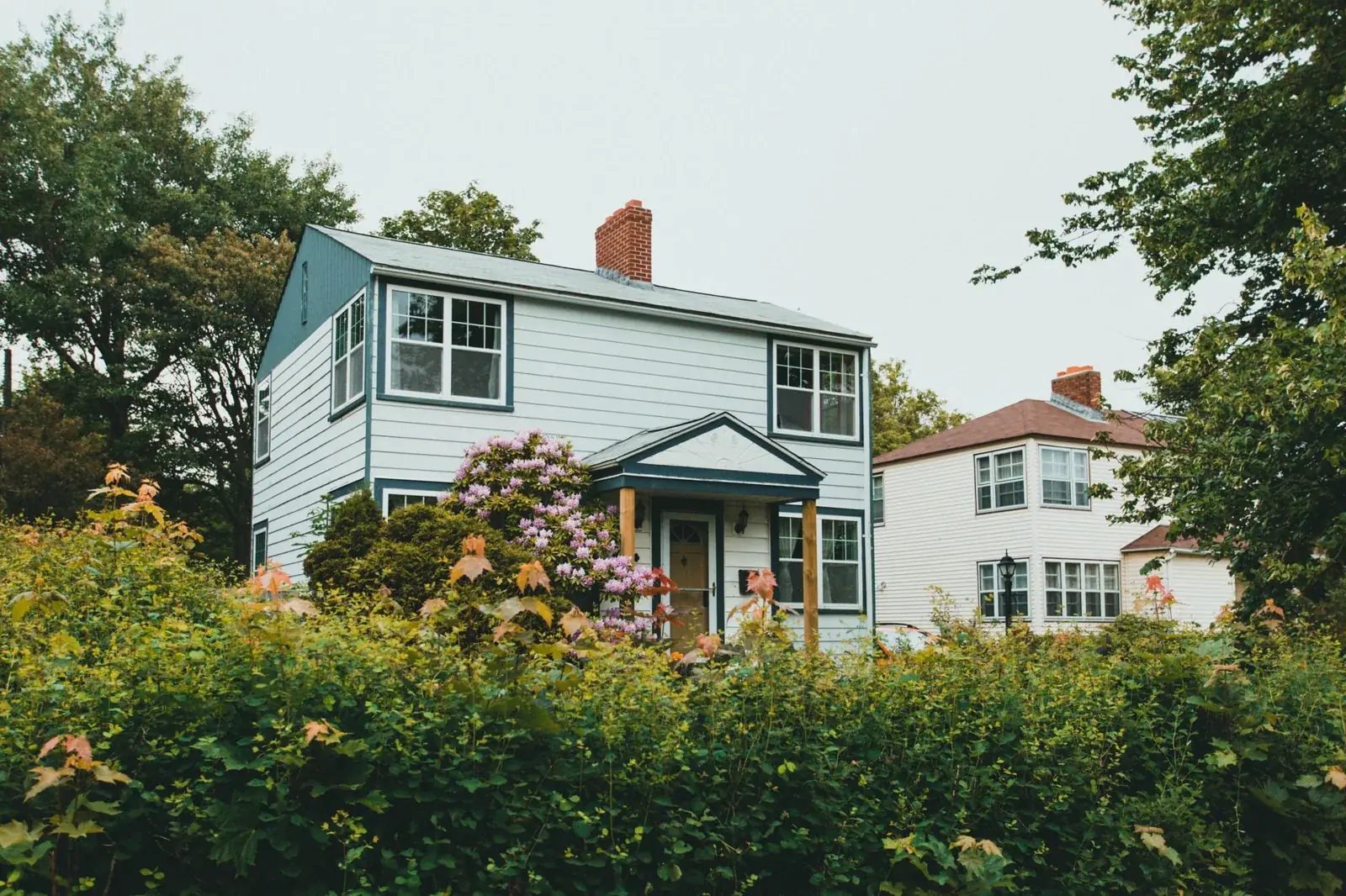 Charming two-story wooden house surrounded by lush, the kind of home we buy in Hempstead